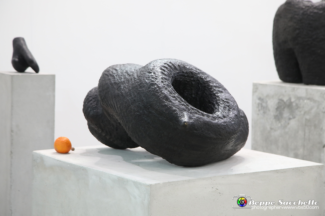 VBS_5410 - Artissima 2021.jpg